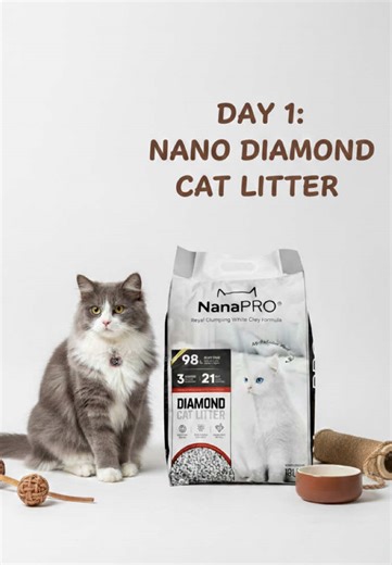 After 24hrs of using the @NanaPRO Litter 😻 #catsoftiktok #fyp #catlitter #catcare #tiktokmademebuyit