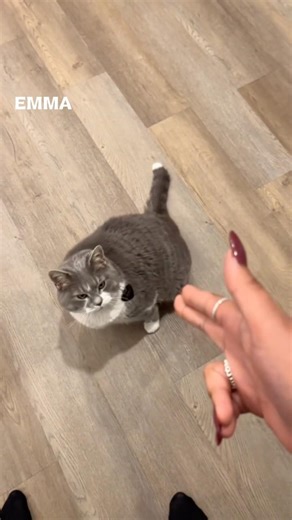 Bang You’re Dead! 😂