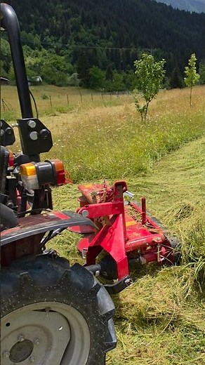 SOLIS 26 // FIRST TRIALS WITH THE HARVESTER... #solis #solis26 #farming #solis4wd #agriculture #m...