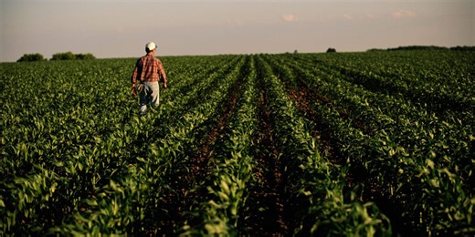 Economic Turmoil in Rural America: The Impact of Plunging Crop Prices – Archyde