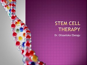 STEM CELL THERAPY - SlideServe