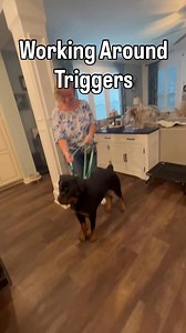 This is a debatable topic. Some people believe that the dog shouldn’t even look at triggers and should only be focused on the handler. I am not one of those people. I think it’s important for dogs to be able to look at any given stimulant without reacting to it.But this takes time to build. Many of us reactive dog owners know that once our dog looks at that trigger, within a matter of seconds, they are reacting.That’s why in our training we give them two seconds to look at the trigger, then we h