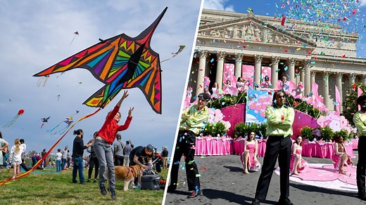 Your cherry blossom calendar is here and two nights end with fireworks