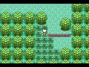 Pokémon Emerald Walkthrough Part 2: Towards Petalburg City