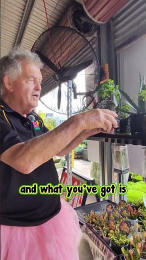 The Horror Plants Have Arrived… And They’re Hungry. 🤤👀