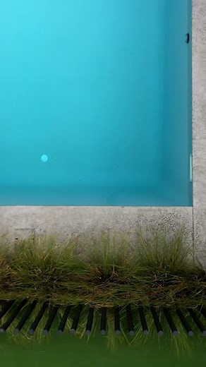 Just a glimpse… but enough to fall in love. 💚✨ There’s something so beautiful about the contrast between fresh greenery, clean paving, and sparkling pool water. In 2025, poolside landscaping is all about balance—natural textures, lush plants, and crisp lines. Think: 🌿 Grasses and groundcovers softening the hardscape 🪨 Neutral-toned pavers for a timeless finish 🌞 Low-maintenance greenery that thrives poolside Your pool isn’t just a feature—it’s the centrepiece of an outdoor lifestyle. And the