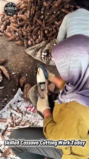 Amazing Cassava Peeling Process Today #FoodProcess #HarvestTime #Satisfying