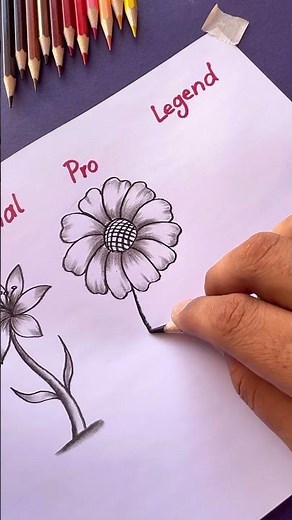 Flowers drawing
