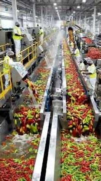 inside the mega factory how its made 20 million bottles of sriracha