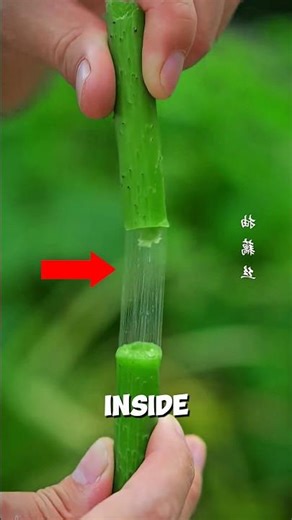 He Turns a Lotus Flower Into Something Extremely Valuable 🤯
