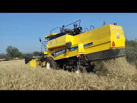 🌾 Direct Anaj Unloading | Combine Harvester Action