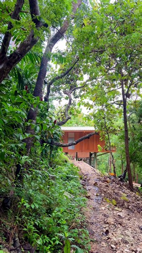 The treehouse studio 2.0 begins to settle into the landscape. Raised above the ground, the house follows the slope while staying surrounded by trees. Even at this stage, the warmth of the wood already shapes its character. Each column and beam is placed to respect the terrain and the forest around at @grun.uluwatu #stlitstudios#sustainabilityliving#architecture#treehousestudioversion2