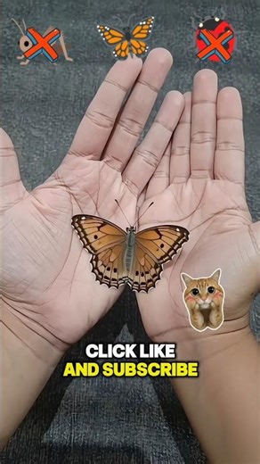 Try to Guess This Insect 🦗🦋🐞