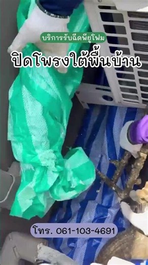 ปิดโพรงใต้บ้าน ป้องกันบ้านทรุดตัว❗️