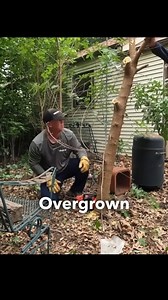 1.8M views · 40K reactions | NEGLECTED OVERGROWN LAWN Hasn't Been...