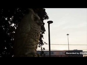 Adult Swim - Sign-Off (2019 - New) With 2014 Voice