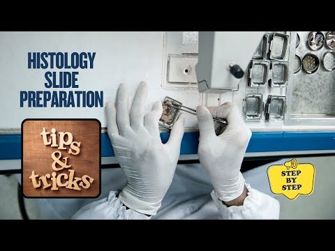 How to prepare a histology slide (step by step) rapid revision in just a minute