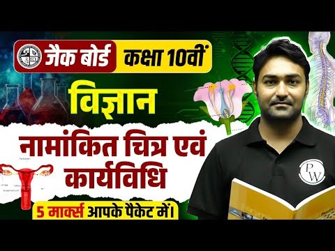 5 नंबर पक्के 🔥| Class 10th Science All Important Diagrams One Shot | JAC Board Class 10th Science