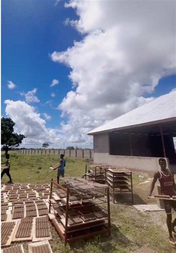 Machine de fabrication de plateaux d'œufs en papier recyclé