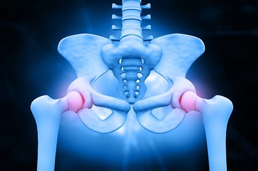 Pubis: Anatomy, Function, and Treatment