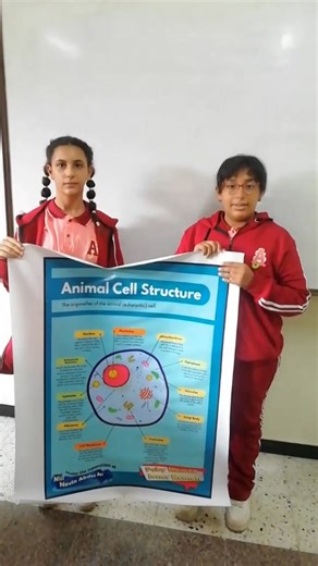 2.5K views · 22 reactions | 6th primary: Plant cell and animal cell- the structure of microscope- examining sample of onion leaf under microscope. Under the supervision of Miss Neven Abd El-Ati | Collège St. Joseph De L’Apparition Abbasya | Facebook