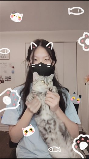 Grumpy kitty #cat #funny #viral #foryou #kpop #trending #fyp #trend #cute #funnycute #pets #explore