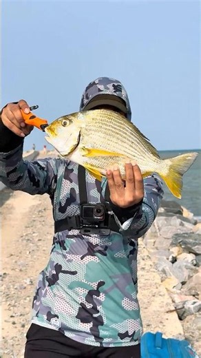 Using soft Lure to catch big fish | sea fishing | Hard bait Fishing | Mangrove Jack#fishing #blogger