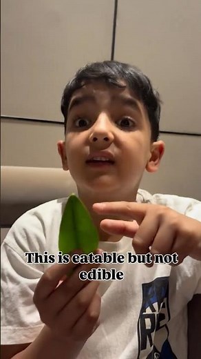 Eatable vs Edible vs Drinkable — English for Kids