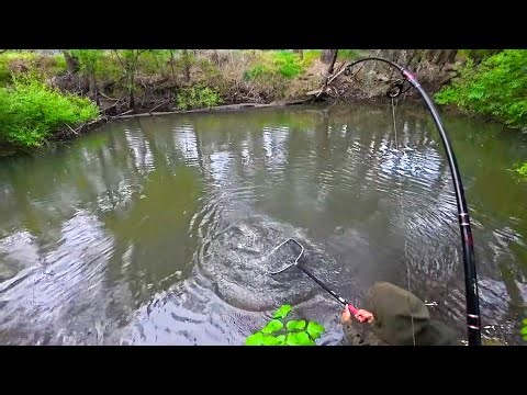Mixed Species Fishing: Punished For My Stupidity