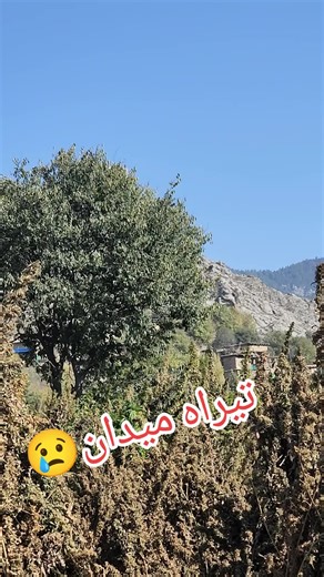 Save Tirah Maidan: Highlighting Local Culture