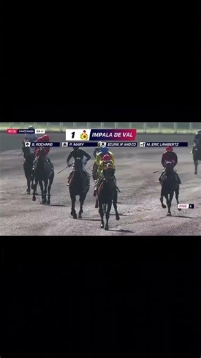 Ce week-end aux courses : 3 grosses affiches #shorts