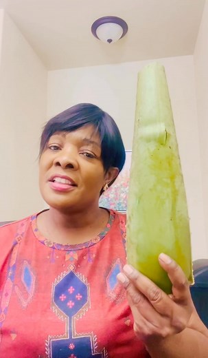 #nature#natural#wellness#aloevera#wellness#wonderful 🌸 40 Powerful Aloe Vera Mixes (External Use Only) 🌿 For Glowing Skin 1. Aloe vera Honey – hydrates and brightens dull skin. 2. Aloe vera Turmeric – clears acne and dark spots. 3. Aloe vera Lemon juice – lightens blemishes (use small amount of lemon). 4. Aloe vera Rose water – tones and refreshes tired skin. 5. Aloe vera Cucumber juice – cools sunburn and puffy skin. 6. Aloe vera Tomato juice – fades pigmentation and gives glow. 7. Aloe vera 