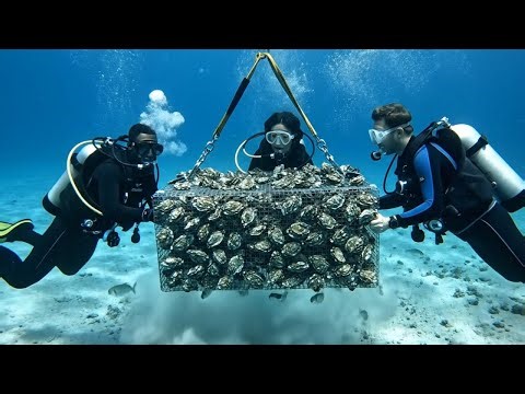 Amazing Process! Pearl Farming Factory – From Oyster to Luxury Jewelry