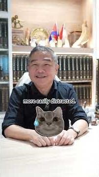 2026 Summer Horse Babies