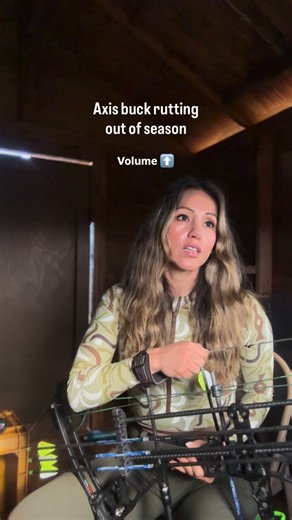 Roxana | CO ⛰️ on Instagram: "Tales from a Hawaiian hunting adventure 🌺 Axis deer rut in Hawaii is normally May-August 🦌 🔥"