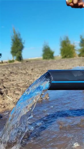 Exploring BalliBot: The Smart AI Innovation