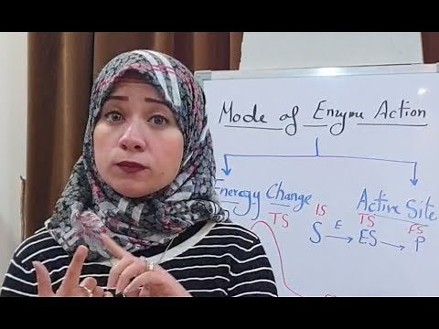 ( Enzymes Biochemisrty Session 2) Mode of enzyme action
