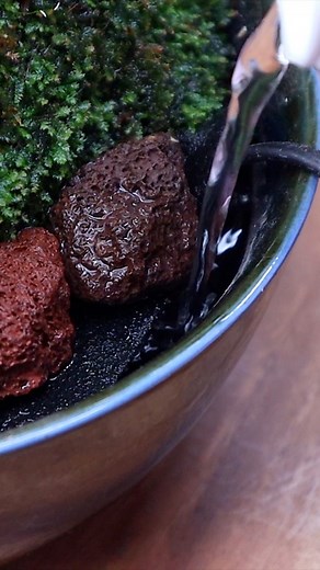 56K views · 667 reactions | Bowl Waterfall Scape challenges #waterfall #scape #challenges | The Urban Nemophilist | Facebook