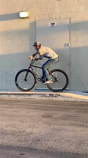 29” BMX - Chris Furmage