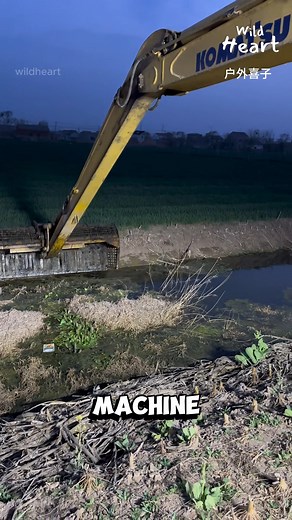 Using Excavators To Catch Dinner #rivercleaning #machinefishing #excavatorlife #canaldredging #fishing | Wild Heart