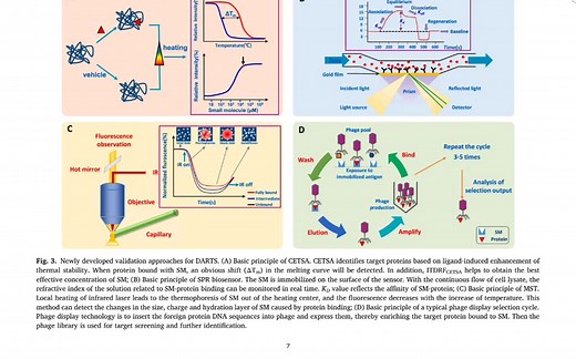 医学文献阅读，小分子药物靶点筛选-DARTS技术