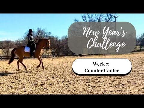 New Year’s Challenge Week 7: Counter Canter