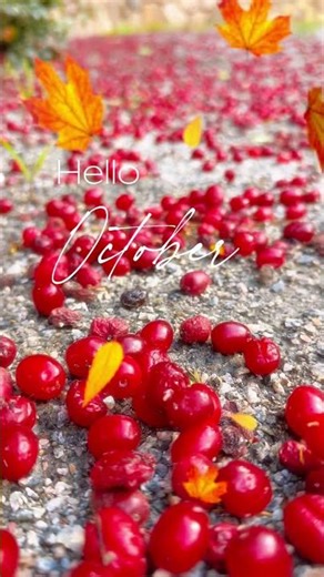 𝐇𝐞𝐥𝐥𝐨 𝐎𝐜𝐭𝐨𝐛𝐞𝐫#hellooctober##AutumnWhispers