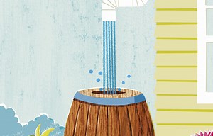 Rain Barrel Options: A Guide To Sustainable Water Collection