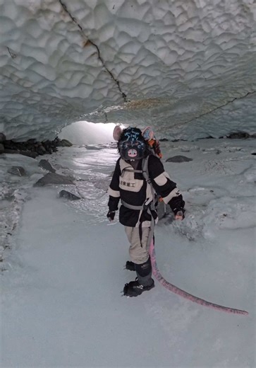 Backcountry Wilderness Fursuit Adventure on Ice Bridges