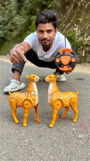 Rc Remote Control 2ta deer Unboxing and testing