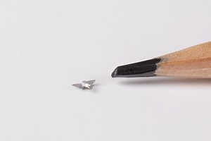 Estos microchips con alas son los "ordenadores" más pequeños jamás hechos por un humano: se utilizarán para monitorizar el aire