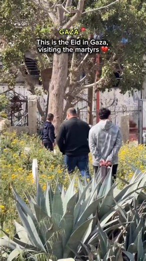 This is eid in gaza visiting martyr 🥹💔 #palestine #gaza #freepalestine #freegaza #shorts #nobatidao