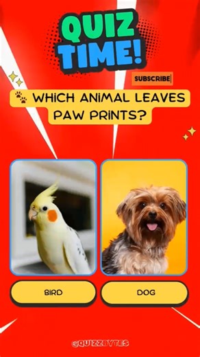 Test Your Knowledge! Daily Quiz Dose 🧠👍| #QuizLearningWorld #ytshorts #shorts #quiz #quiztime