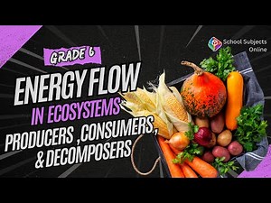 Grade 6 Energy Flow in Ecosystems (Producers, Consumers, Decomposers)